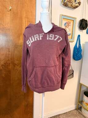 American Eagle Surf 1977 Vintage Hoodie Plum Distressed Graphic Sweatshirt Y2K